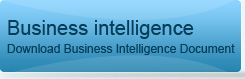 Business intelligence